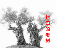 【文缘】村口的老树（散文）