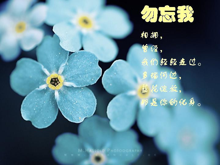 月光怪现象之学生给老师打伞杂文