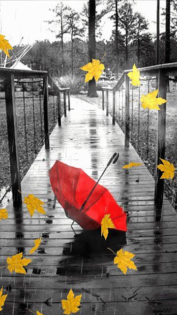 【绿野】红雨伞（绝句小说外二篇）