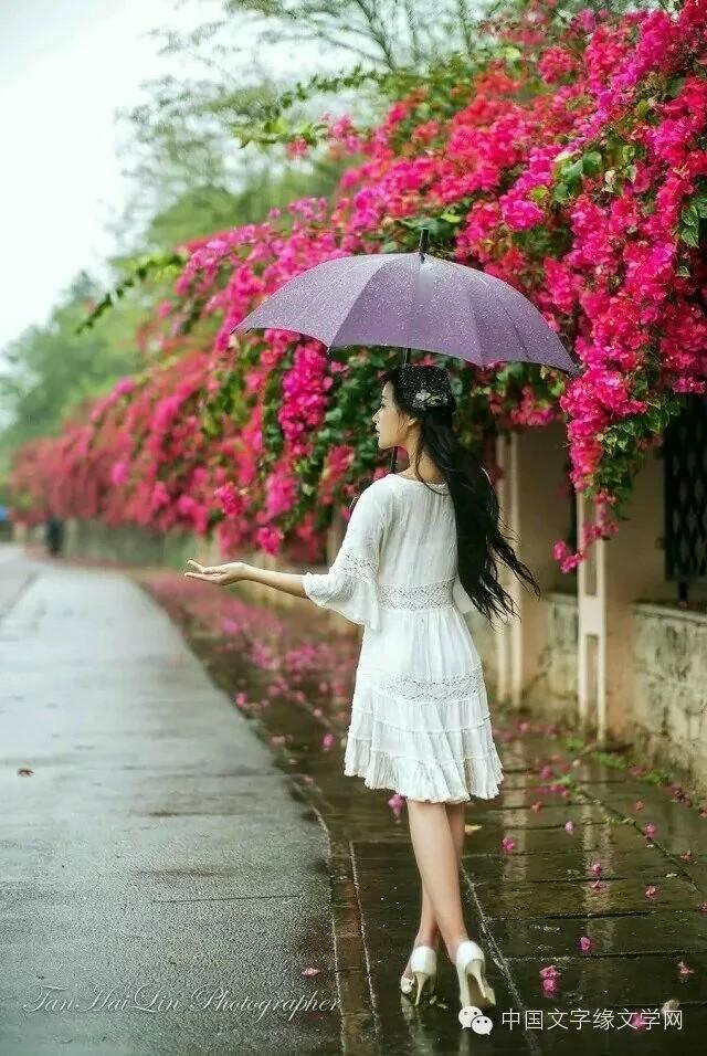 【墨舞】今秋,你还记得那些花儿吗(散文)外一篇