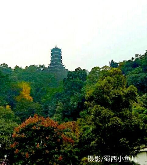 【星月忆】七绝六首 忆