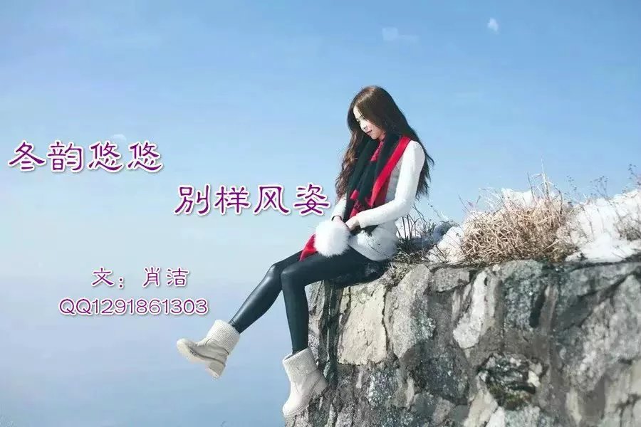 【晓荷】冬韵悠悠，别样风姿（散文）