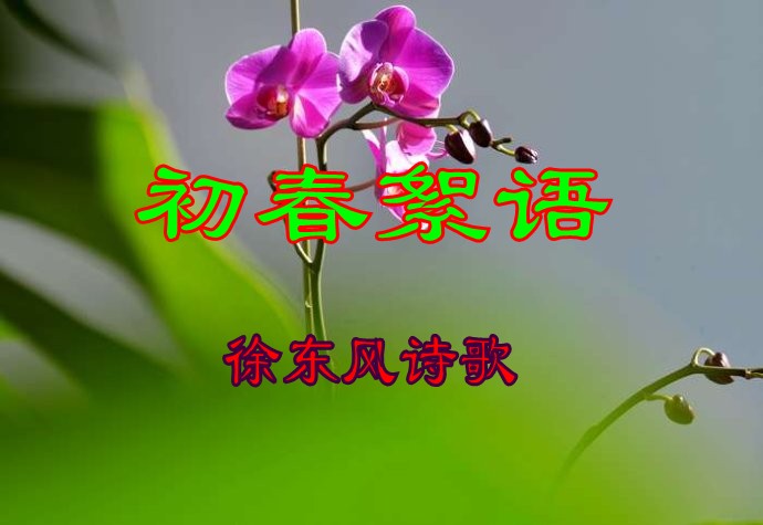 【天涯】让春天的芭蕾，舞出生命的色彩（诗歌）