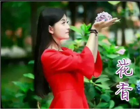 【专栏】香溢金秋