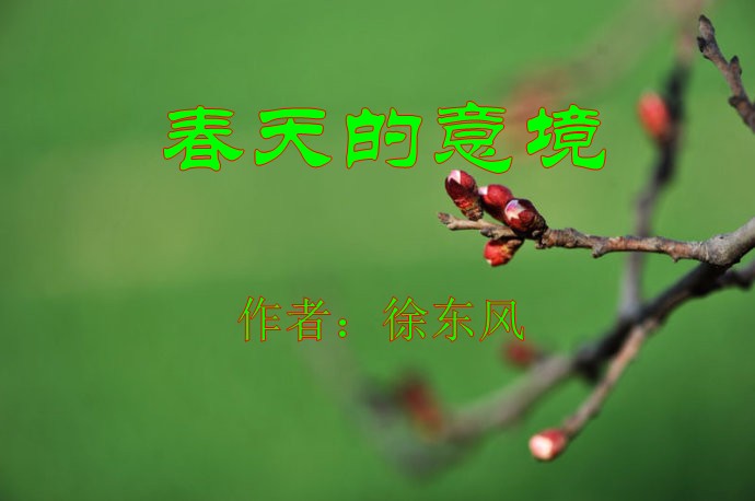 【天涯】春意（外一首）（诗歌））