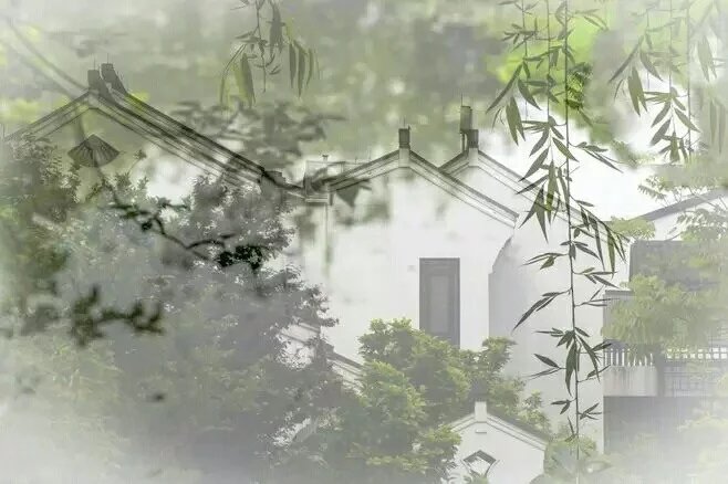 【流云】雨（散文）