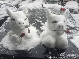 【绿野征文“相约在春天”】有雪的春天也浪漫（诗歌）