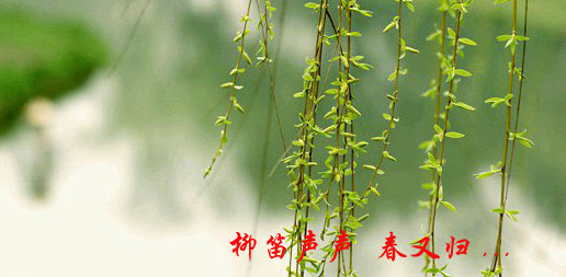 【绿野征文·相约在春天】柳笛(诗歌)