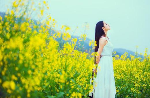 【桃源】时光作叶，梦想成花（散文）