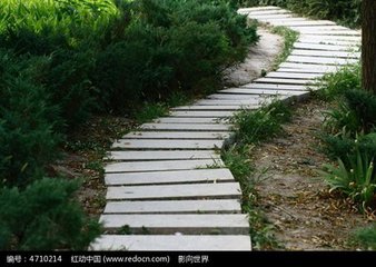 【丁香】济南心声（散文）