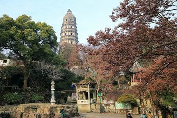 【晓荷】知者乐水，仁者乐山（随笔）