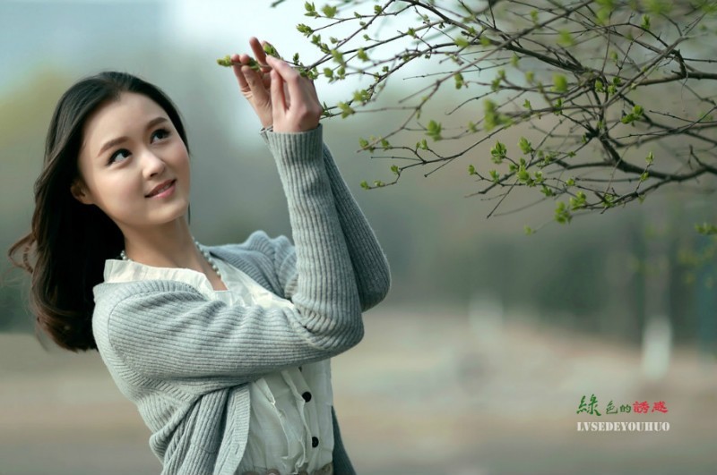 【月光】爱如春花（散文）
