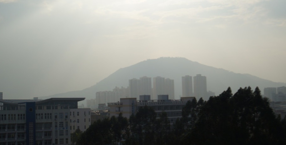 【晓荷·心愿】校园的清晨（征文·散文）