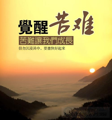 【菊韵】苦难人生谁无泪（散文）