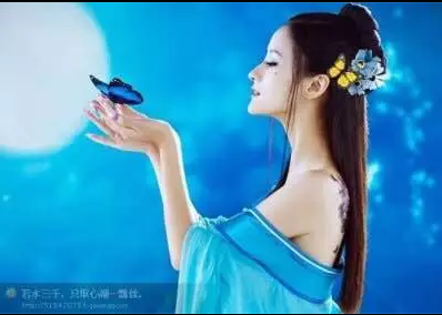 【专栏】月光孤影