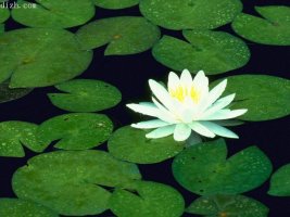 【江南散文】淡淡牵念，浅浅忘，我在路上（散文）