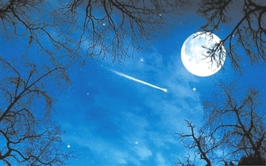【晓荷·天地事】月夜遐思（征文·诗歌）