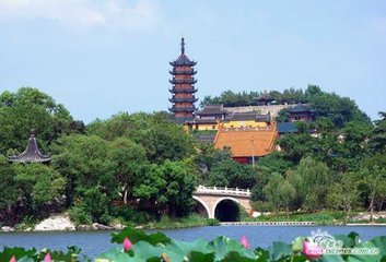 【晓荷】春暖花开，我带您到梦里的水乡（随笔）