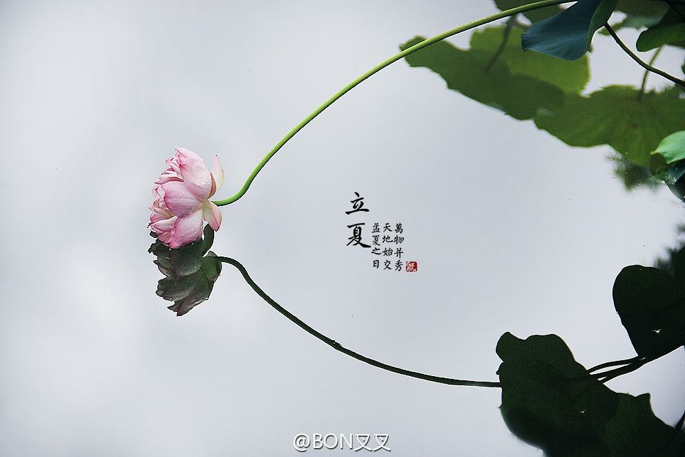 【天涯】从浅夏的清凉里里，寻找你的身影