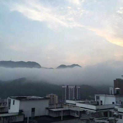 【晓荷·天地事】丹水晨雾（征文·散文）