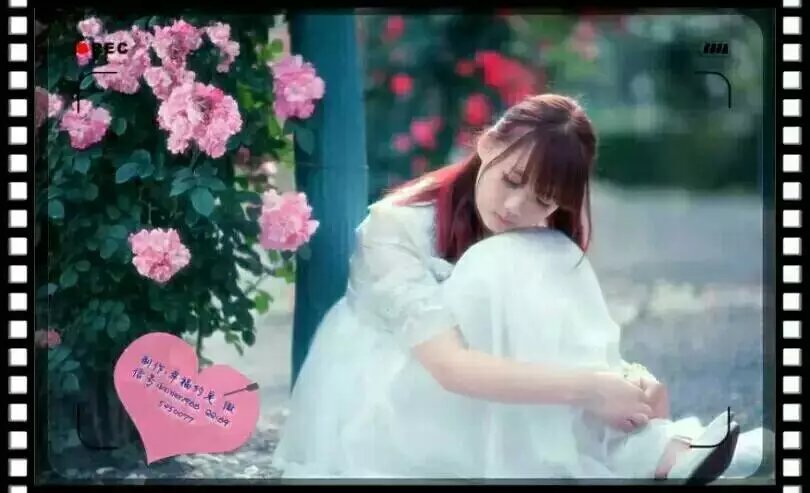 【菊韵】你是我今生永远的牵挂（诗歌）