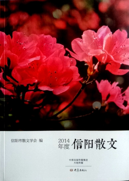 【丁香花语】被洪水围困的村庄（散文）