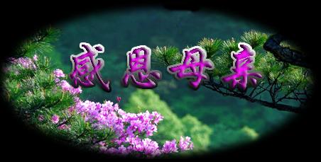 【晓荷·天地事】我心里永远有您——母亲（征文·散文）