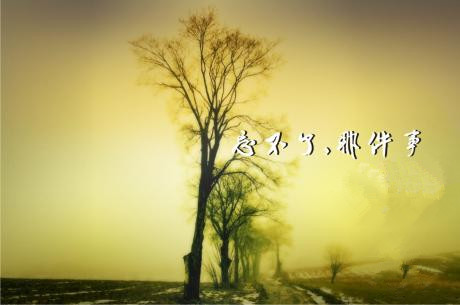 【晓荷·天地事】忘不了，那件事（征文·散文）
