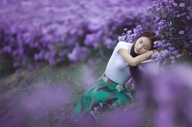 【菊韵】想你了，也不打扰你