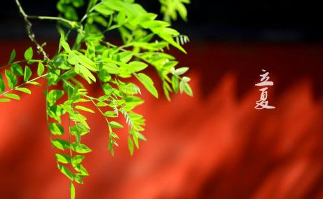 【天涯】五月的思念（外一首）（诗歌）