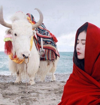 【如云】等待，一路寂寞花开（组诗）