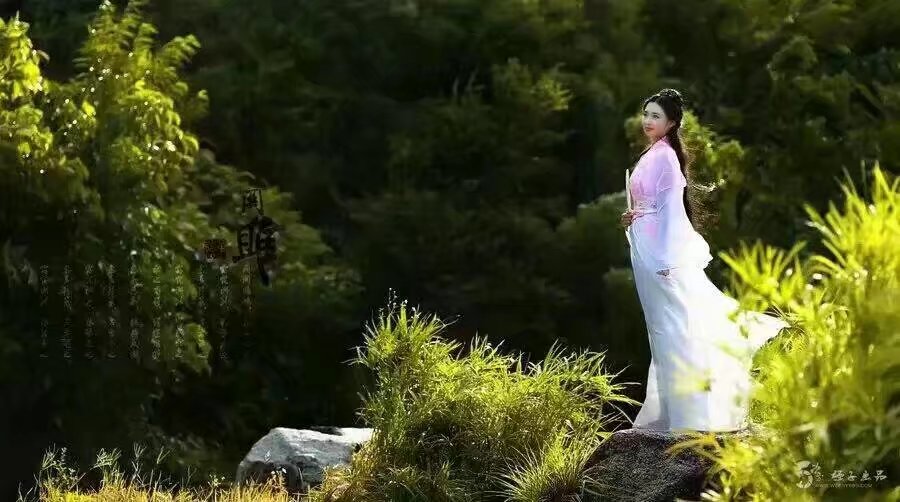 【渔舟】只记花开，不记年（散文诗）