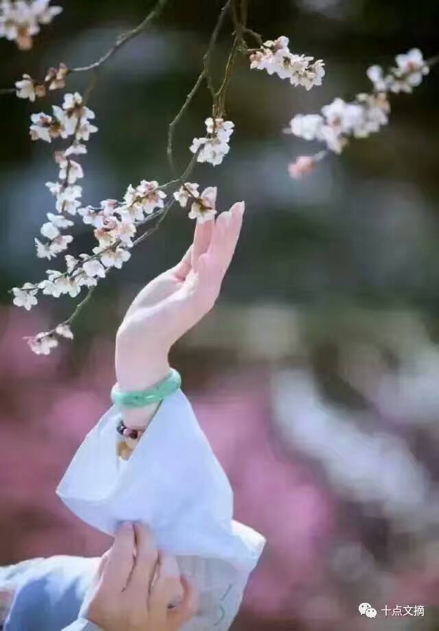 【晓荷.见闻】春归图（征文.组诗）