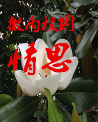 【风恋.在路上】微雨校园情思（散文）