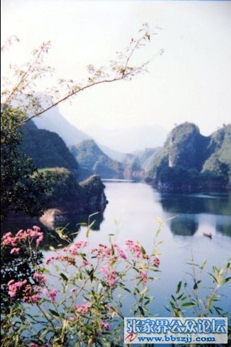 【荷塘】那些年，我没心没肺地活着（散文）