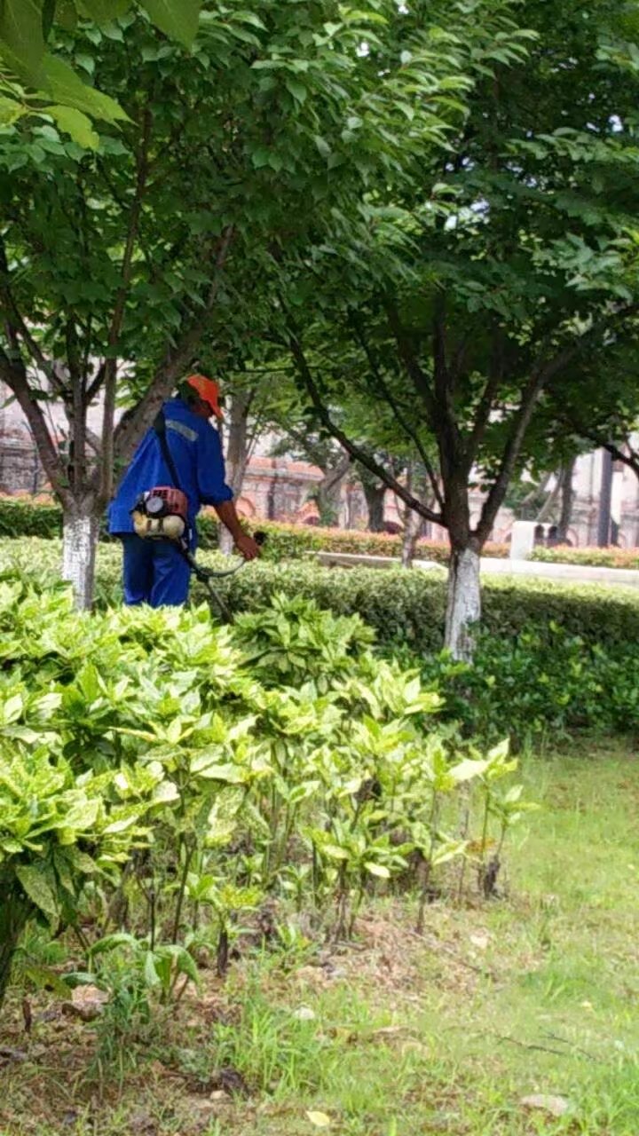 【专栏】赞美你园艺工