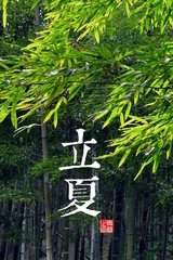 【晓荷】春天走了，夏天来了（随笔〕