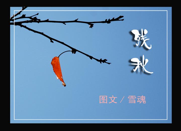 【专栏】念残秋（外一首）