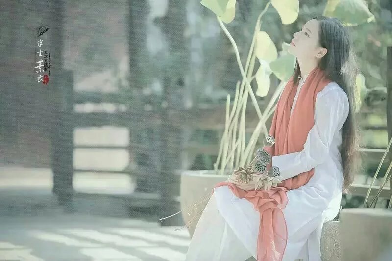 【淡雅晓荷】有一种思绪，叫眼前的漫游（诗歌）