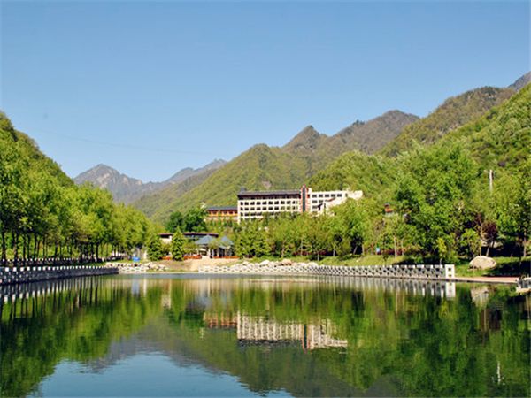 【荷塘】在柞水，遇见最美的自己（散文）
