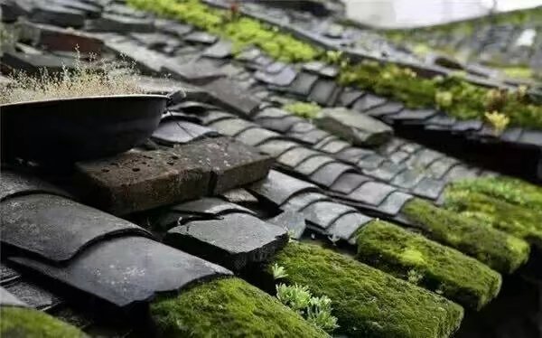 【渔舟】金木水火土（组诗）