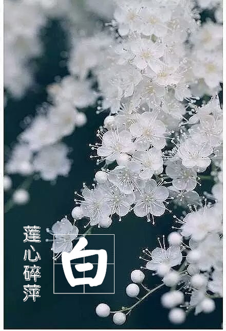 【天涯】白（诗歌一组）