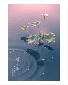 【军警】飘（小小说）