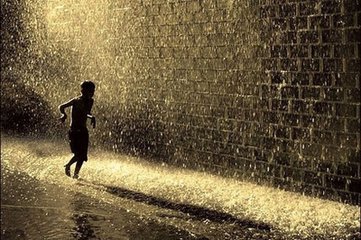【柳岸】回来，依然故我的风（诗歌）
