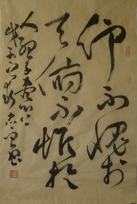 【丁香收获】乐享人生（散文）
