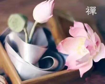 【菊韵】遗忘（外二首）