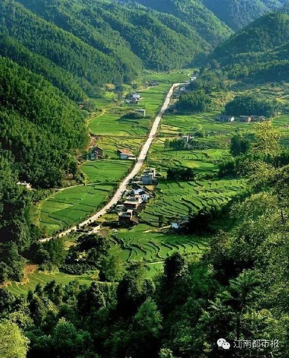 【晓荷*人间百态】乡路(微型小说)