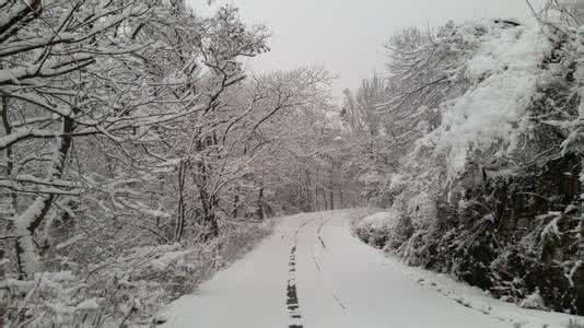 【丁香收获】雪痴（短篇小说）