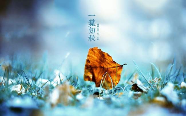 【绿野征文“岁月流韵”】秋语（散文）
