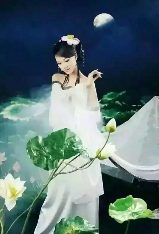 【晓荷*人间百态】诗歌二首（诗歌）